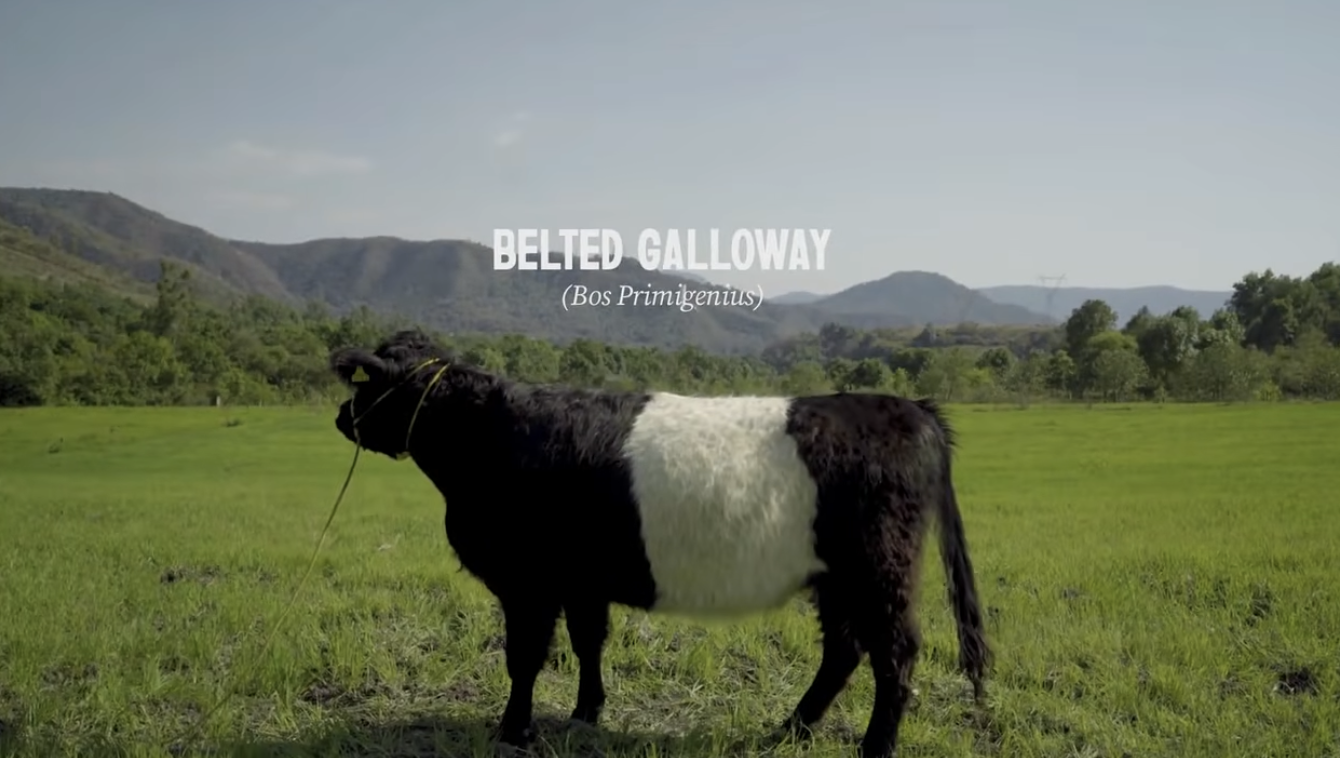 Cannes Lions 2026: Day 1 Top Campaigns, Deconstructed